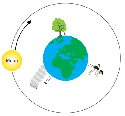 The Pull Of Gravity Quiz